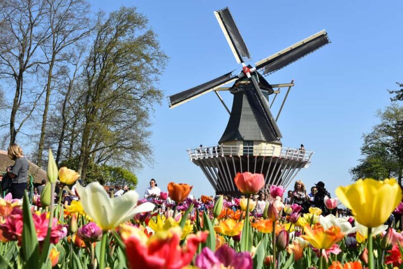 Amsterdam: Keukenhof Guided Tour and Flower Parade April 18 - Practical Details: Meeting Point and Transportation