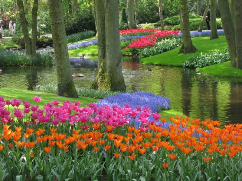 Amsterdam: Keukenhof Ticket with Shuttle Bus + Canal Cruise - Value for Money and Booking Flexibility