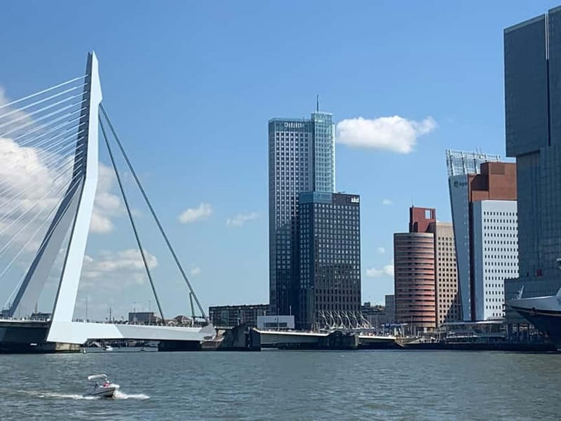 Amsterdam: Kinderdijk, Euromast, Delft and Den Haag Day Tour - Convenient Starting Point and Small Group Experience