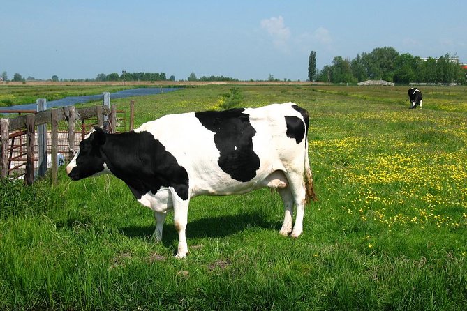 Amsterdam Landscape Windmill Private Bike Tour - Muiden and the Historic Castle District