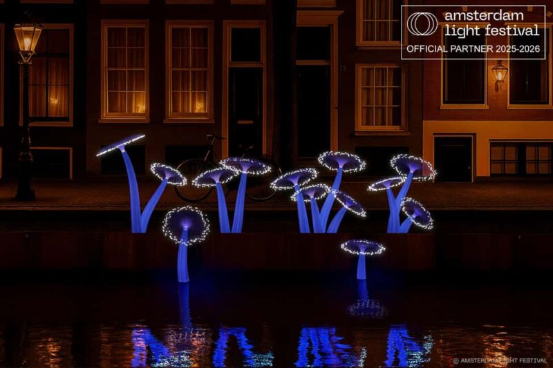 Amsterdam Light Festival Winter Walk & Stroopwafel Workshop - Admiring the Dazzling Light Installations of the Festival