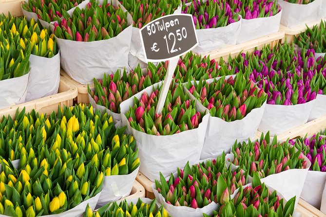 Amsterdam local transfers - A Service Praised for Reliability and Quality