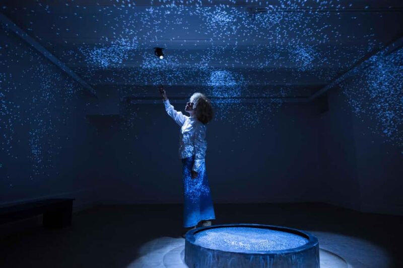 Amsterdam: Museum Villa Entry Ticket - Discover 12 Transformed Rooms Filled with Art