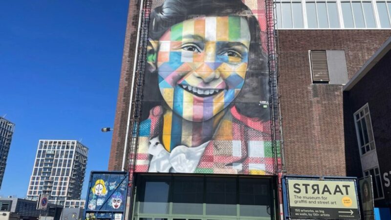 Amsterdam: North Amsterdam Bike Tour - Visiting Iconic Sites: NDSM and De Ceuvel