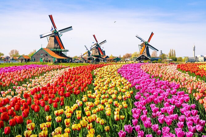 Amsterdam Pass: 45+ Things To Do - Includes Rijksmuseum - Towering Views from Adam Lookout