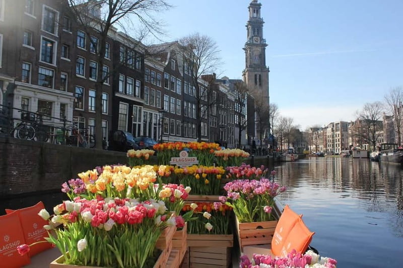 Amsterdam: Premium Tulip Boat Canal Tour - Key Points