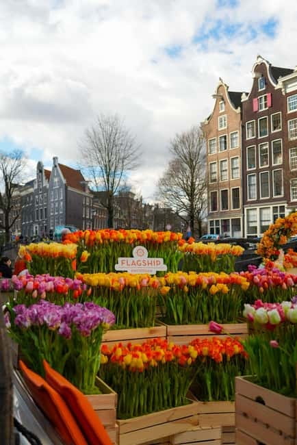 Amsterdam: Premium Tulip Boat Canal Tour - Who Will Appreciate This Tour the Most