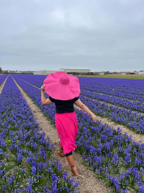 Amsterdam: Private Keukenhof and Free Tulip Tour - Pricing and Inclusions