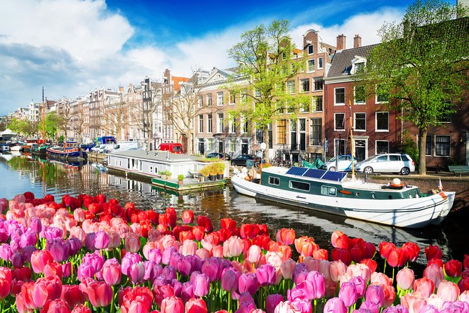 Amsterdam Private Sightseeing Tour for Kids & Families w/Local Guide - The Legend of Ghost Alley in the Red Light District