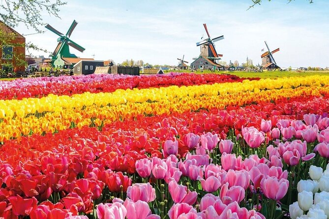 Amsterdam Private Transfer to Keukenhof Gardens - Booking and Cancellation Policies Made Simple