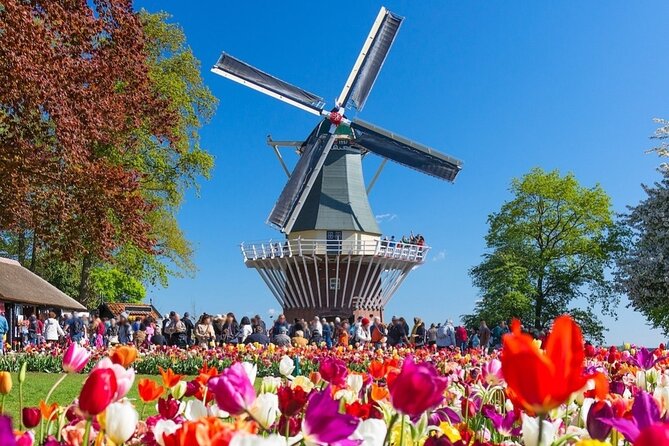 Amsterdam Private Transfer to Keukenhof Gardens - Pricing Reflects a Premium, Personalized Experience