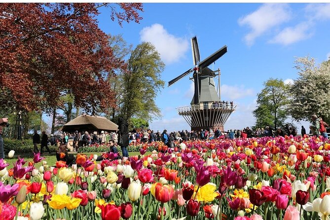 Amsterdam Private Transfer to Keukenhof Gardens - Comparing This Transfer to Other Amsterdam Tours