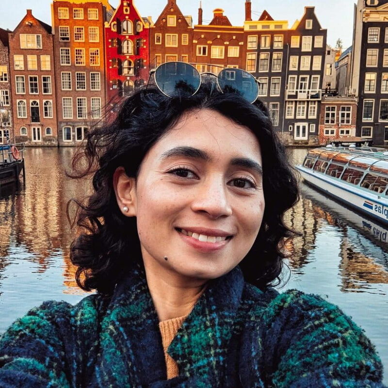 Amsterdam: Rijksmuseum Guided Tour incl Entrance Ticket - Entry Included: Skip the Line and Dive Into Art