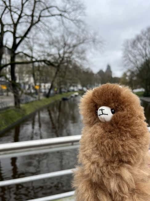 Amsterdam: Rijksmuseum Private Guided Tour & Entry Tickets - Starting Point and Booking Flexibility