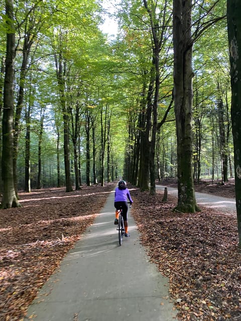 Amsterdam: Road Bike Rental with Self Guided Tour - Scenic Exploration of the Amsterdamse Bos and Beyond