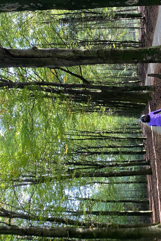 Amsterdam: Road Bike Rental with Self Guided Tour - Why This Tour Speaks to Independent Explorers