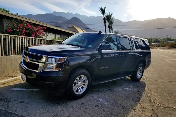 Amsterdam Schiphol Airport (AMS) to Rotterdam - Arrival Transfer - Meeting Point and Accessibility Details