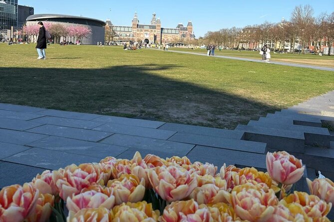 Amsterdam Self-Guided Food Walk: City Bite Tours - Starting Point at Hemonylaan with a Digital Map
