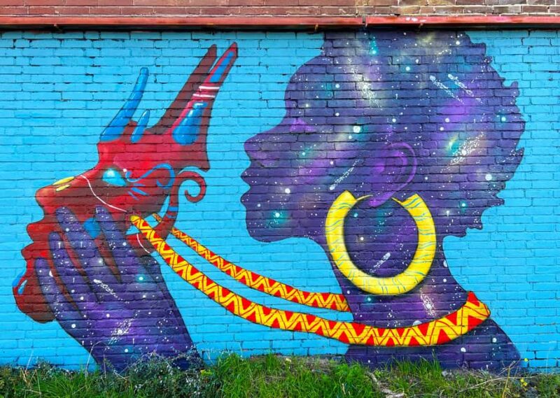 Amsterdam Street Art Walking Tour, with private local guide - Key Points