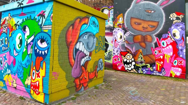 Amsterdam Street Art Walking Tour, with private local guide - Exploring NDSM Wharf’s Urban Art Scene