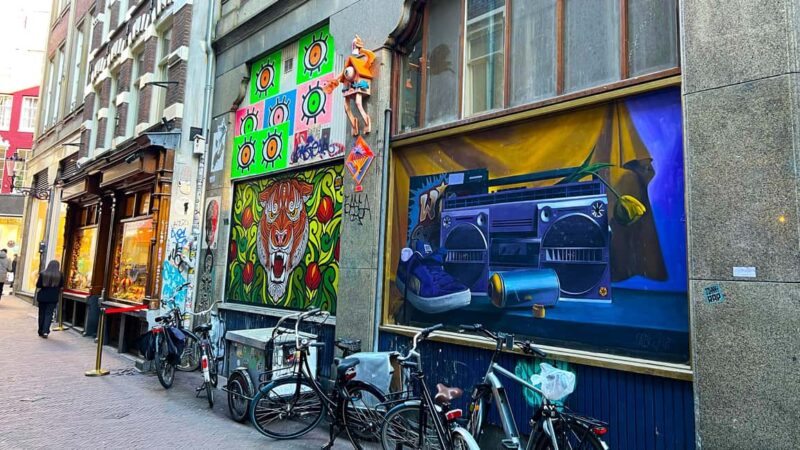 Amsterdam Street Art Walking Tour, with private local guide - Comparing This Tour to Other Experiences