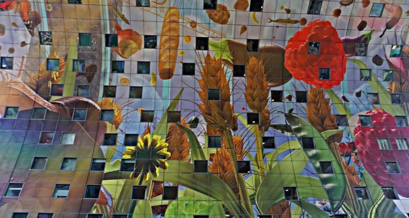 Amsterdam: The Hague & Rotterdam Private Cultural Tour - Enjoying Rotterdams Panoramic Views from the Euromast Tower