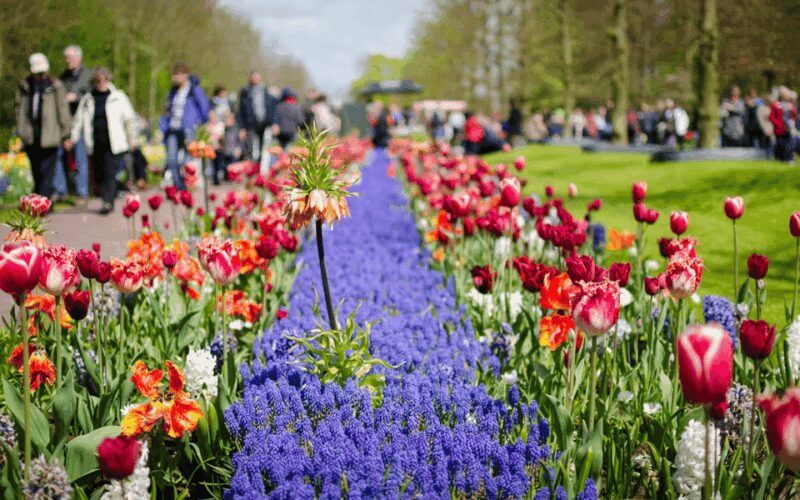 Amsterdam: Tour to Keukenhof Gardens with Windmill Cruise - The Practicalities: Meeting Point and Access