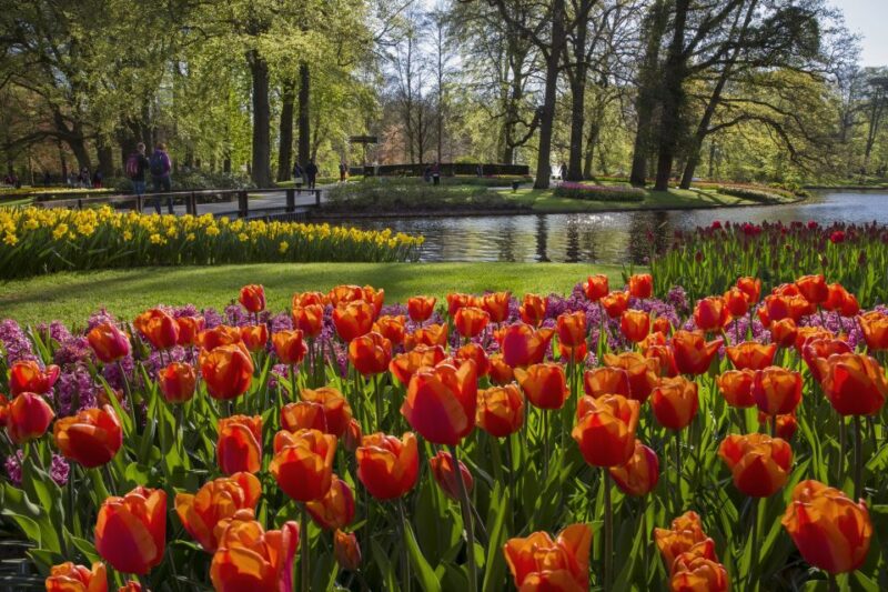 Amsterdam: Tour to Keukenhof Gardens with Windmill Cruise - Potential Drawbacks and Considerations