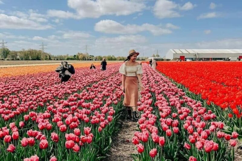 Amsterdam: Tulip Farm Visit, Keukenhof, and Windmill Cruise - Exploring the Bright Colors of the Tulip Farm with Daan and Anja