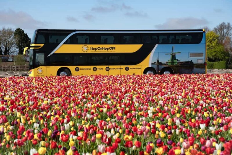 Amsterdam: Tulip Farm Visit, Keukenhof, and Windmill Cruise - Visiting Keukenhof Gardens at Your Own Pace