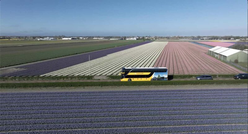 Amsterdam: Tulip Farm Visit, Keukenhof, and Windmill Cruise - The Practicalities of the Tour Experience