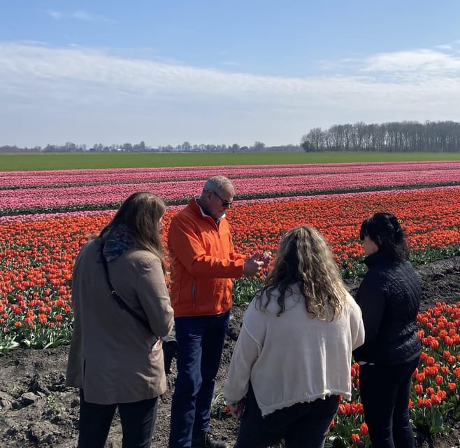 Amsterdam: Tulip Fields Day Tour with Lunch & Windmill - Scenic Drive and Multiple Photo Stops