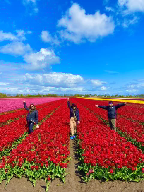 Amsterdam: Tulip Fields Day Tour with Lunch & Windmill - The Overall Pacing and Group Experience