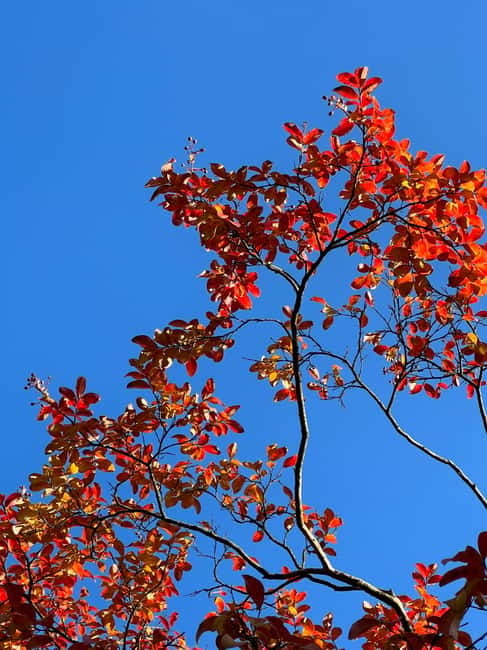 Amsterdam: Ultimate City Park Tour - Hidden Gems and Quirky Details Along the Route