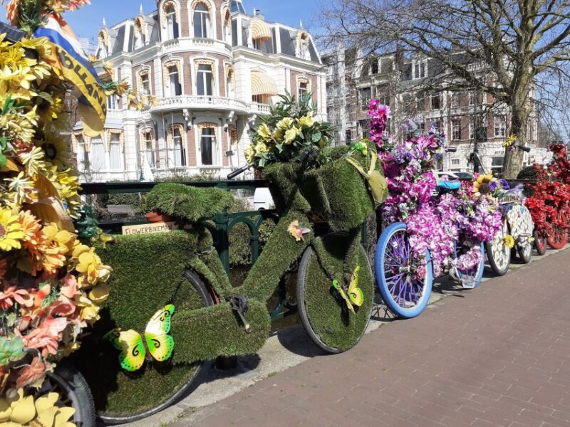 Amsterdam Walking Tour and Canal Cruise - The Comfort and Pacing of the Tour