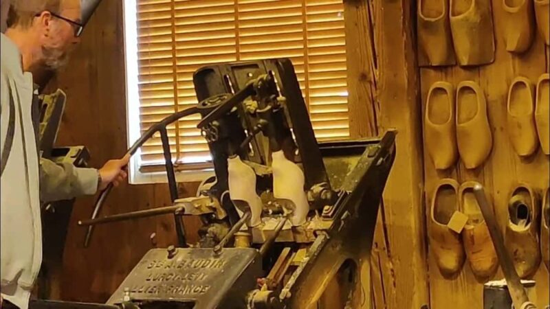 Amsterdam: Windmill, Logo and Zaandam Chinese Day Tour - Key Points