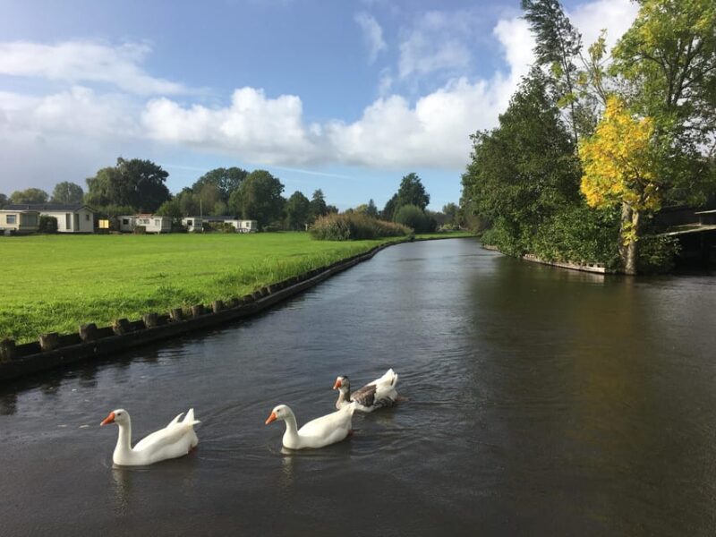 Amsterdam: Zaanse Schans and Giethoorn Day Trip with Cruise - Why This Tour Stands Out