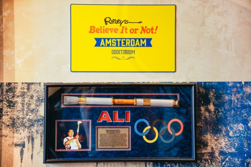 Amsterdam's Weirdest Museum: Ripley's Believe It or Not! - The Lounge and Refreshments: A Relaxing End to Your Visit