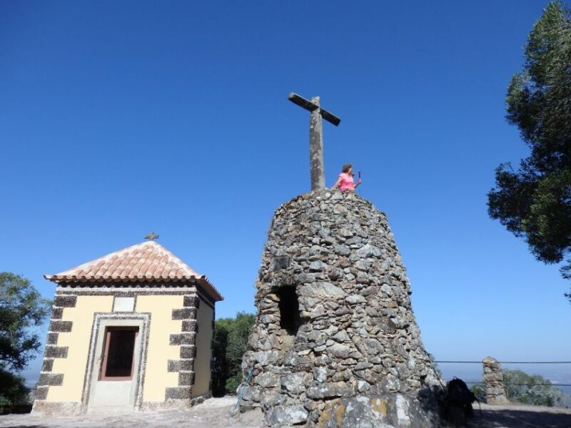 An adventure through the Forest and Palace of Bussaco - Coim - Practical Details: Logistics and Accessibility