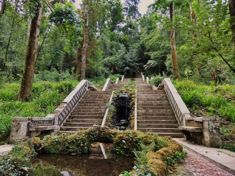 An adventure through the Forest and Palace of Bussaco - Coim - What’s Included and What to Bring