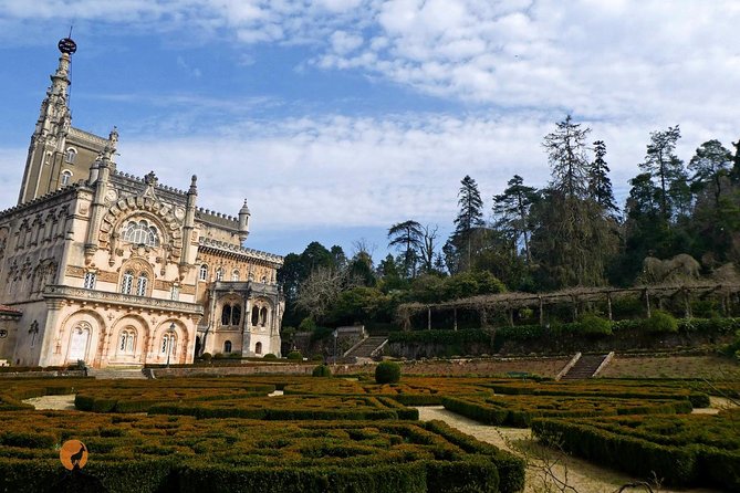 An adventure through the Forest and Palace of Bussaco - Coimbra - The Guide’s Role in Enhancing the Experience