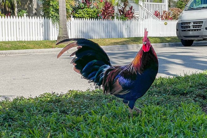 An Audio Guide of Key Wests Journey From Village to Micro State - Key Points