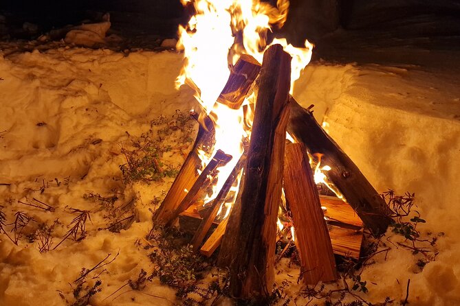 An Evening in the Backcountry, Northern Lights on a Sleighride - The Role of the Guide and Authentic Experience