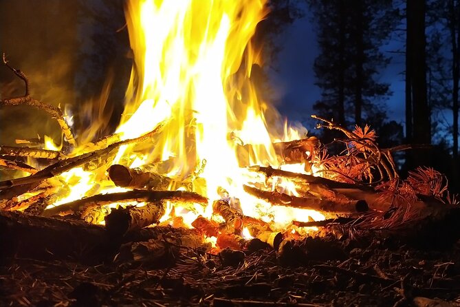 An Evening in the Backcountry, Northern Lights on a Sleighride - The Experience of Watching Aurora Borealis on a Remote Lake