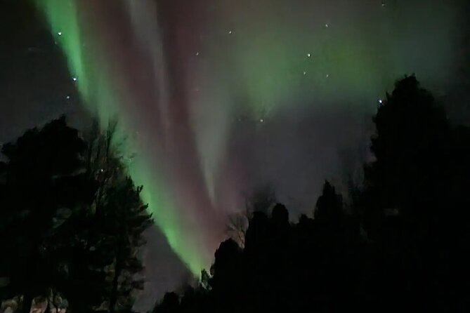 An Evening in the Backcountry, Northern Lights on a Sleighride - Additional Activities and Features of the Tour