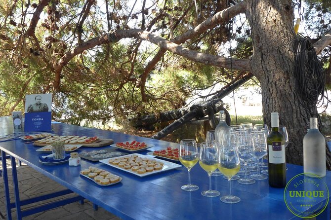 An Unforgettable Day With Fish, Wine and Olive Oil Tasting - Wine Tasting: Malvasia from Istria