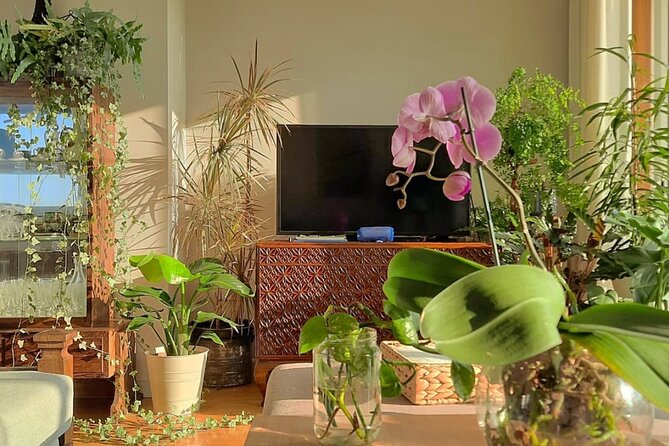 An Unforgettable Evening: Authentic Portuguese Dinner in Porto - Flexibility and Cancellation Options