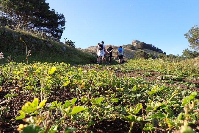 Ana Ferreira Caves & Peaks Trekking - Meet the Tour at 11:00am in Porto Santo