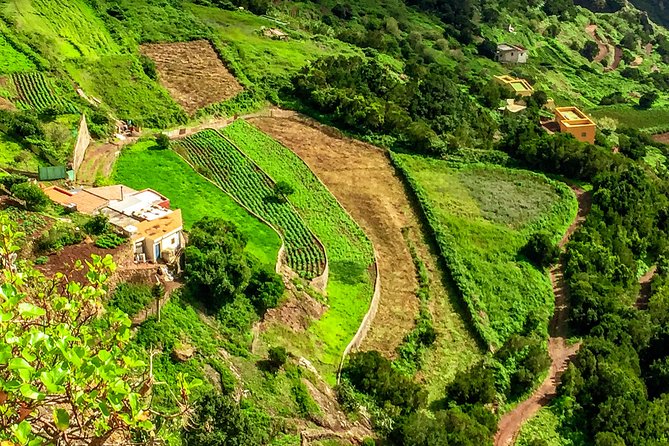 Anaga Private Tour: Valleys of Nature and Tradition - Who Will Appreciate This Tour Most?