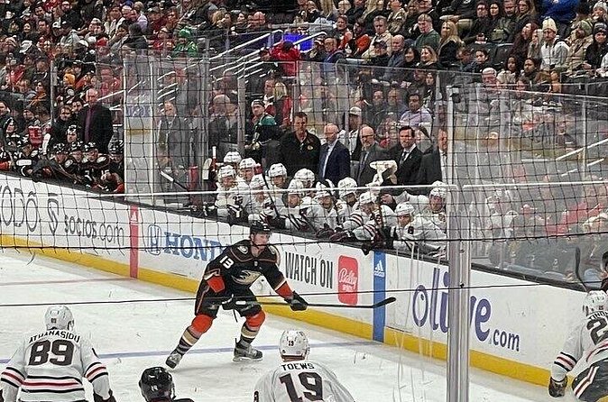 Anaheim Ducks Ice Hockey Game at Honda Center - Limitations and Considerations